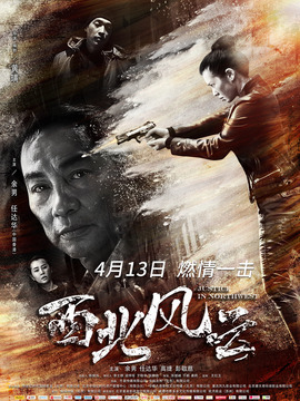 西北风云_天天影视