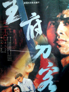 王府刀客_天天影视