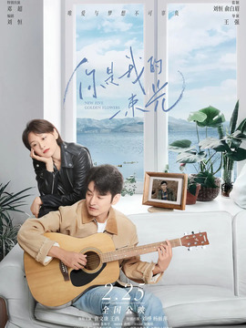 你是我的一束光_天天影视