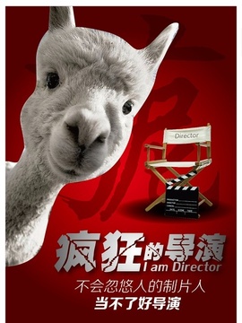 疯狂的导演_天天影视