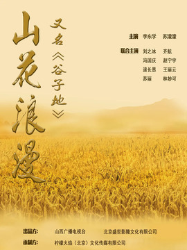 谷子地_天天影视