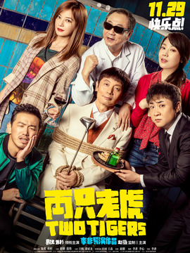 两只老虎_天天影视