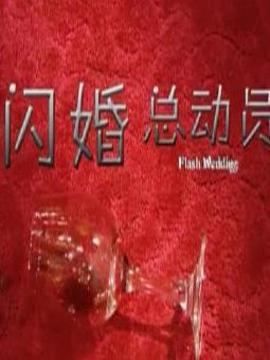 闪婚总动员_天天影视