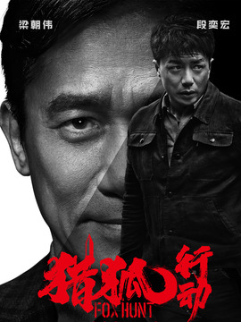 猎狐行动_天天影视