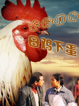 公鸡打鸣,母鸡下蛋_天天影视