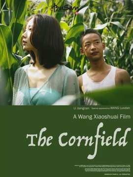 玉米人_天天影视