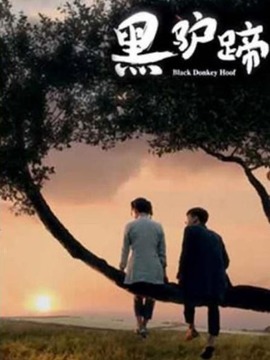 黑驴蹄_天天影视