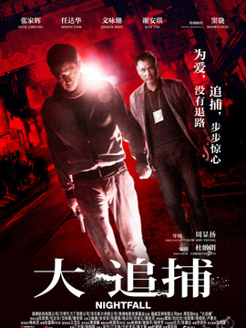 大追捕_天天影视