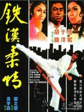 铁汉柔情_天天影视