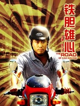 铁胆雄心_天天影视