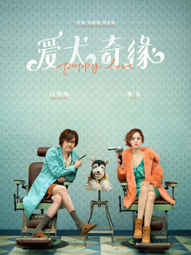 爱犬奇缘_天天影视