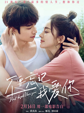 不要忘记我爱你_天天影视
