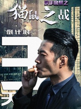 反诈风暴之猫鼠之战_天天影视