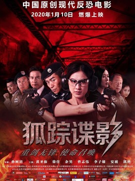 狐踪谍影_天天影视