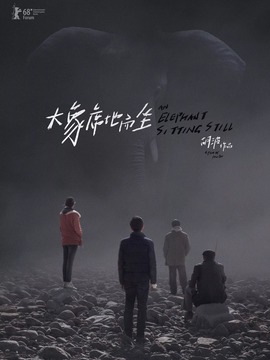 大象席地而坐_天天影视