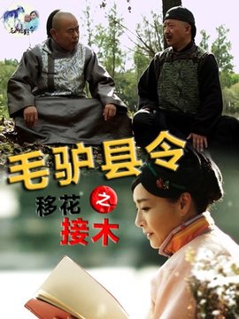 毛驴县令之移花接木_天天影视