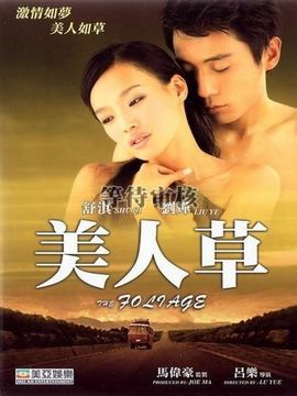 美人草_天天影视