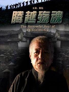 腾越殇魂_天天影视