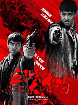 血溅大青沟_天天影视