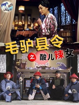毛驴县令之酸儿辣女_天天影视