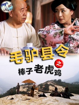 毛驴县令之棒子老虎鸡_天天影视