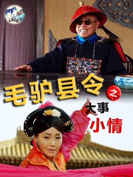 毛驴县令之大事小情_天天影视