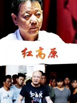 红高原_天天影视