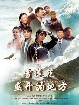 雪莲花盛开的地方_天天影视