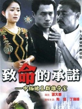 致命的承诺_天天影视