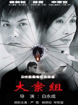 大案组_天天影视