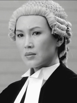 法网群英_天天影视