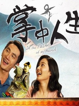掌中人生_天天影视