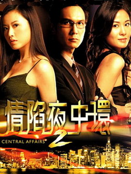情陷夜中环2_天天影视