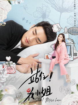 站住！花小姐_天天影视