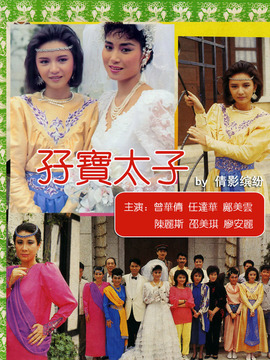 孖宝太子_天天影视