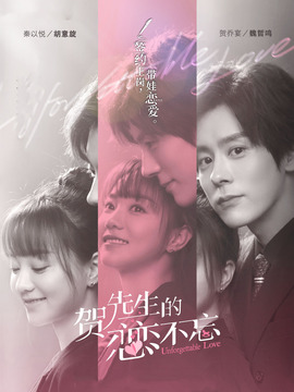 贺先生的恋恋不忘_天天影视