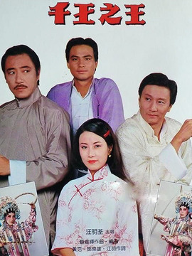 千王之王_天天影视