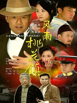 风雨桃花镇_天天影视