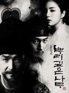 树大根深_天天影视