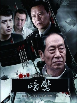 暗警_天天影视