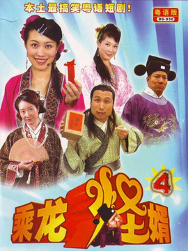 乘龙怪婿4_天天影视