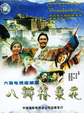 八瓣格桑花_天天影视