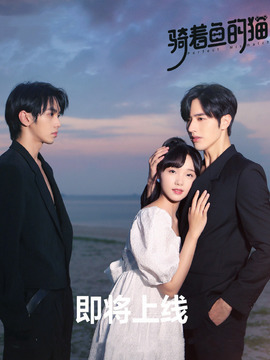 骑着鱼的猫_天天影视