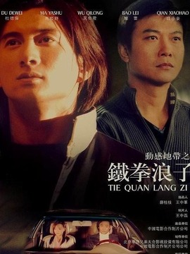 铁拳浪子_天天影视