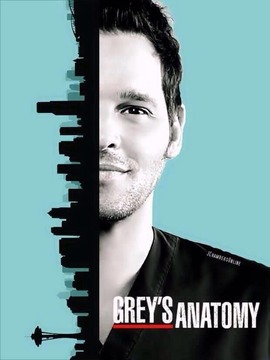 实习医生格蕾第十三季_天天影视