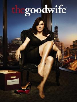 傲骨贤妻第三季_天天影视