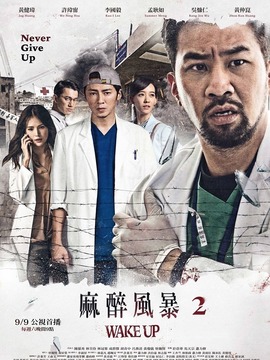 麻醉风暴2_天天影视