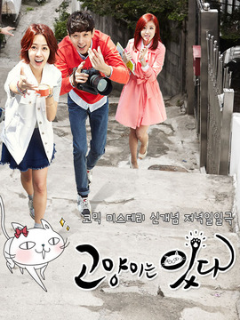 猫来了！喵_天天影视