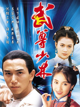 武尊少林_天天影视