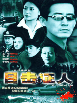 目击证人_天天影视